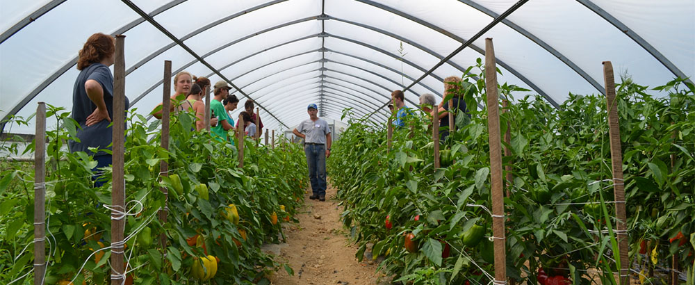 L’agriculture recrute