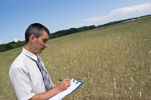 marché-de-l'emploi-secteur-de-l'agronomie